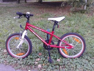20140825_164511a.jpg