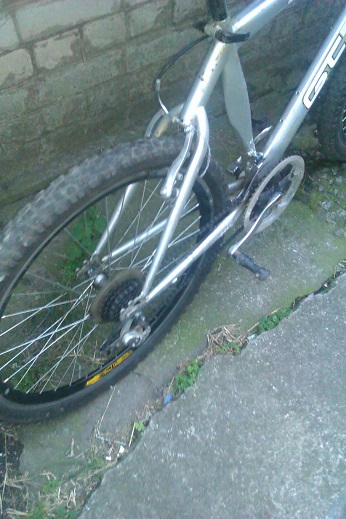 imag0562.jpg