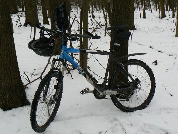 2009_02_28_13_19_10_rs.jpg