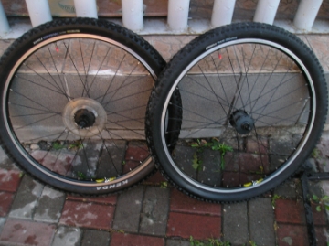 P1010128.JPG