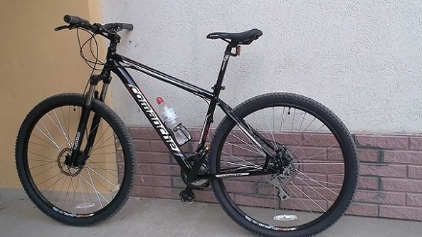 IMAG0337.jpg