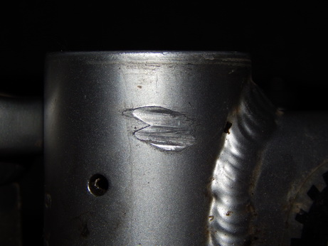 DSCN3821_resize.JPG