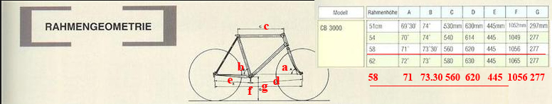 geometriya.jpg