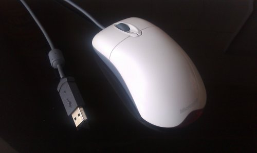 IMAG0703_500x299.jpg