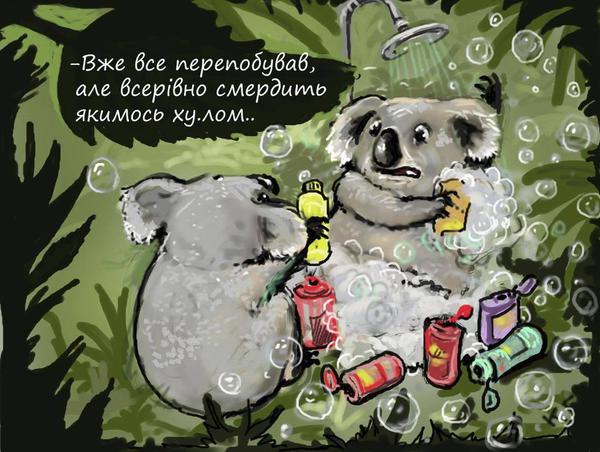 600x452.jpg