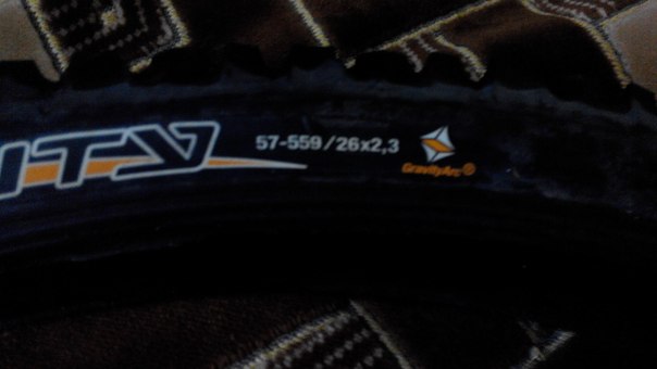 pzY1Y_LaVbU.jpg