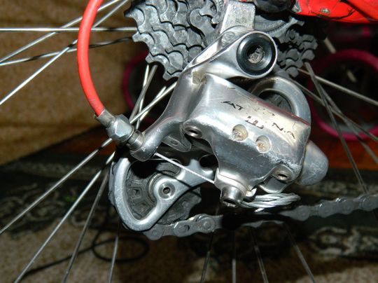 DSCN5382.JPG