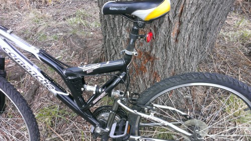 IMAG0095_500.jpg