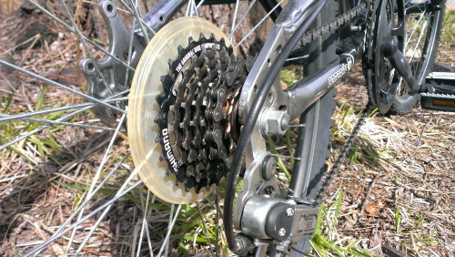 IMAG0099_500.jpg