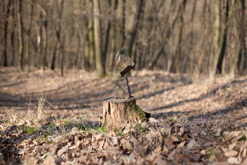 _MG_0324.jpg