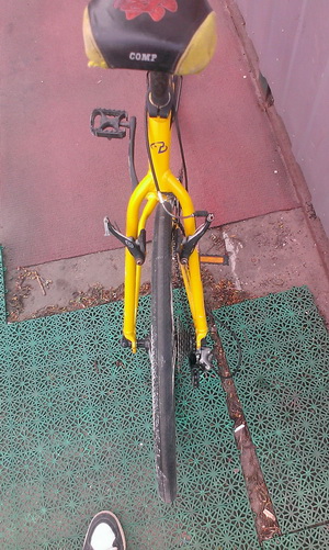 IMAG1352.jpg