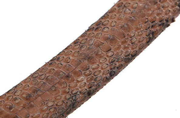 Image3.jpg