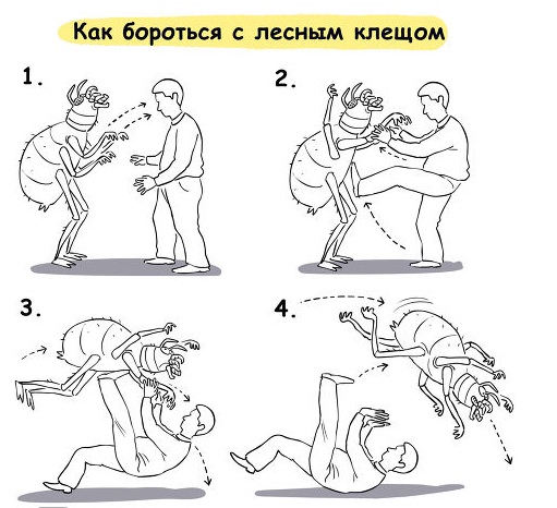 как бороться с клещем.jpg