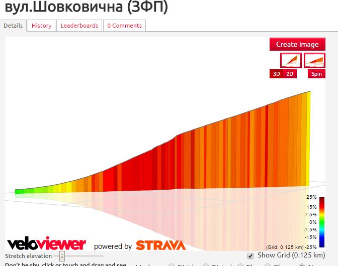 segment_Shovkovychna.JPG