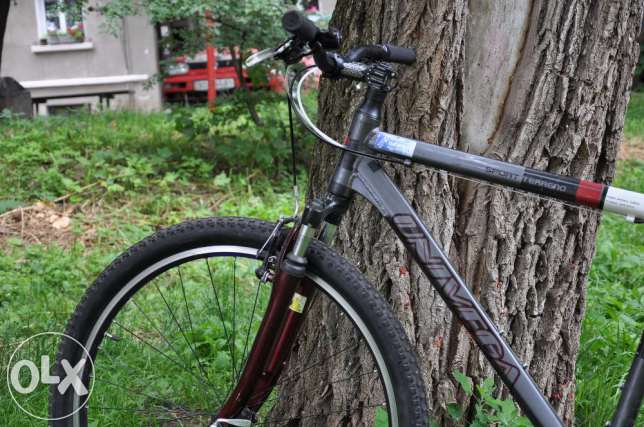 226070130_3_644x461_velosiped-univega-terreno-sport-na-29-tih-kolesah-velo_rev001.jpg