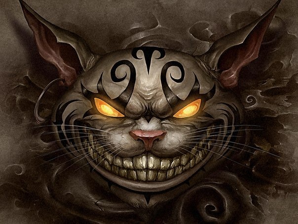 cat velokyiv.jpg