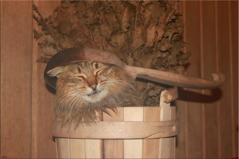 баня.jpg
