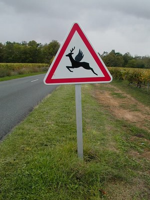 mini-pegasus02.jpg