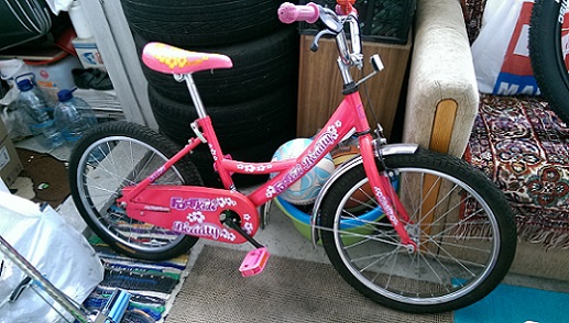 IMAG1608-1.jpg