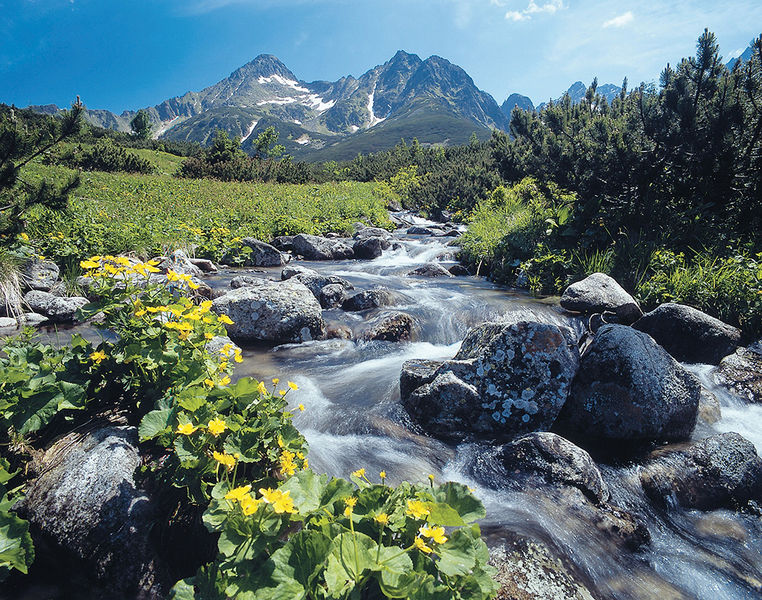 csm_JIR_Vysoke Tatry_7df495da66.jpg