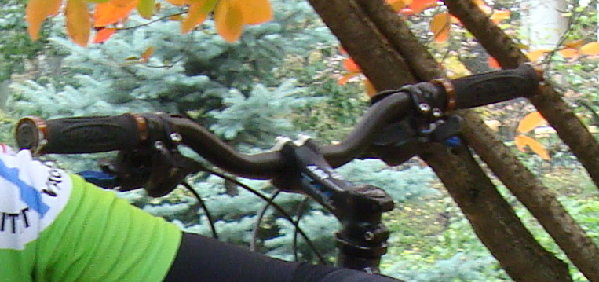 DSC03822.jpg