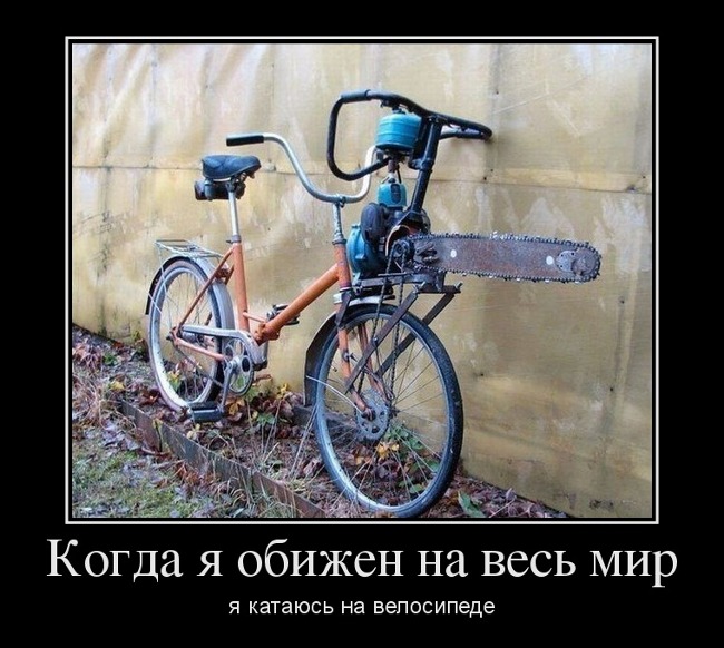160622_вело.jpg