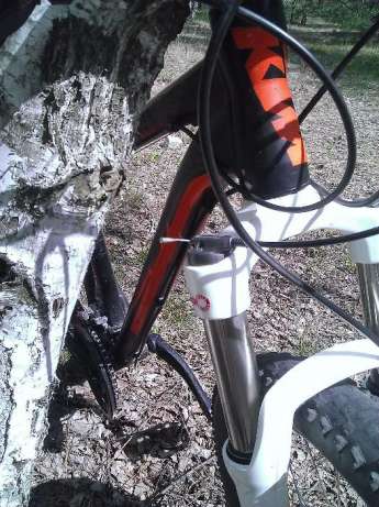 350695624_3_644x461_ktm-ultra-29-velo_rev002.jpg