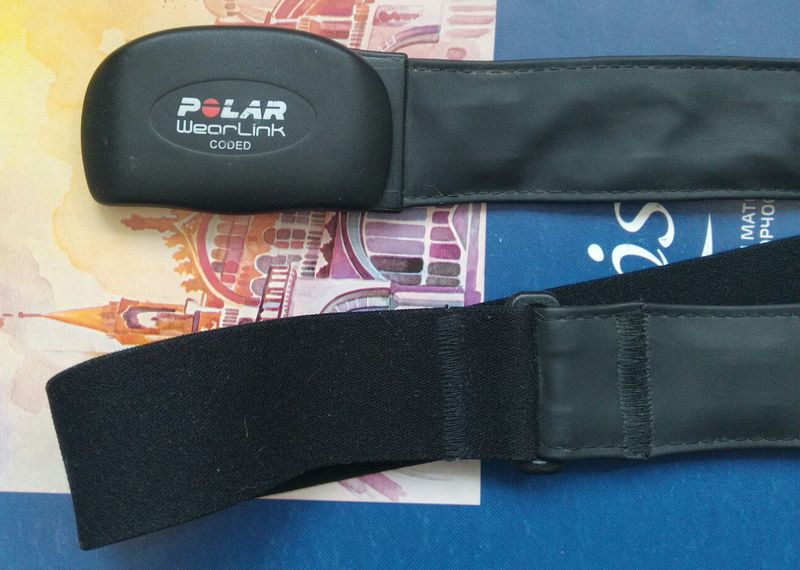 Polar_2.jpg