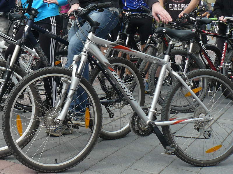 giant2.JPG