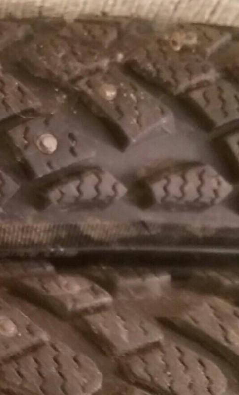 IMAG0088_1_1.jpg