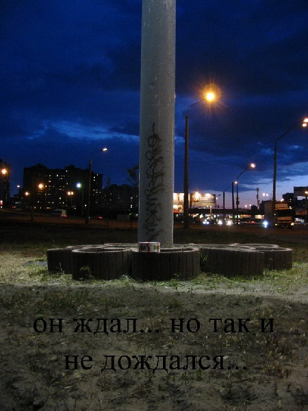t1.jpg