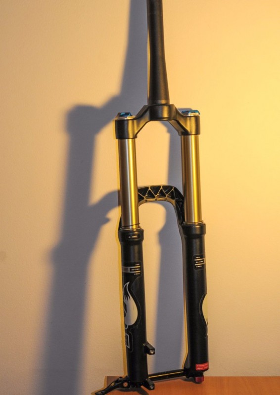 fox-160-03.jpg