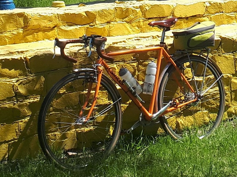 surly2.jpg