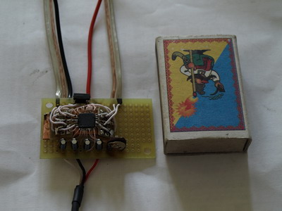 P5300008_.jpg