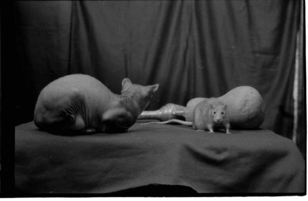 Photo048b-w.jpg