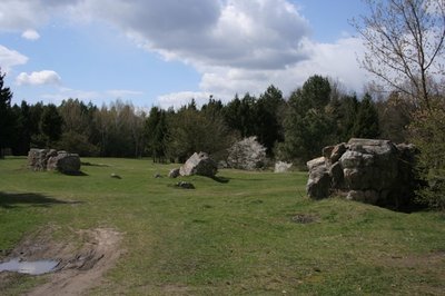 IMG-1185.JPG