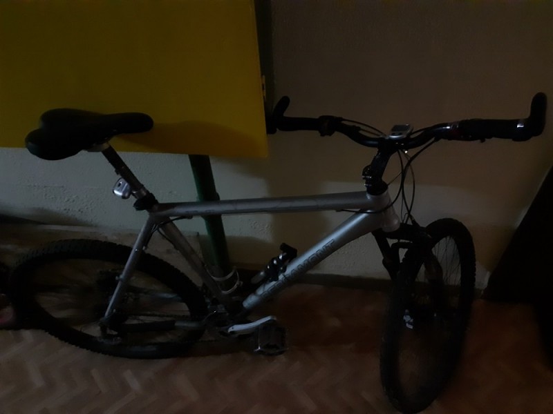 20190313_164947.jpg