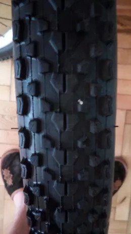 image-_3_.jpg