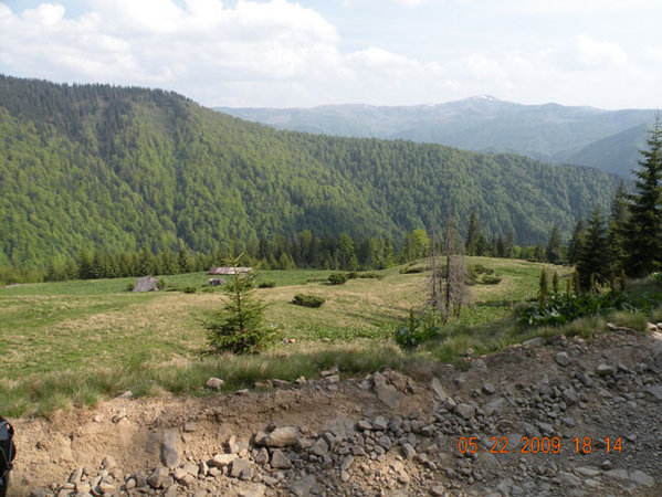 DSCN3700.JPG