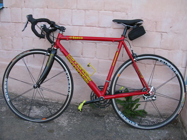 CANNONDALE sh.jpg