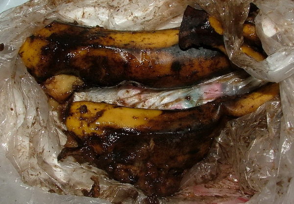 DSCF3394.jpg