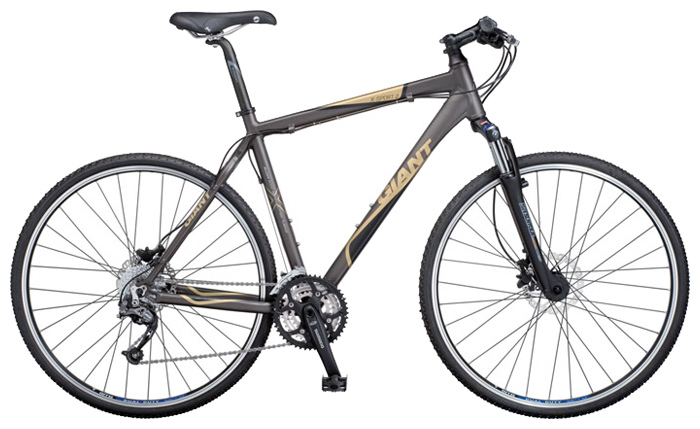 Велосипед Giant X-Sport 2 Disc (2009)