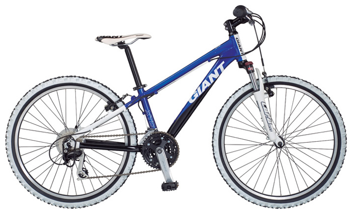 Велосипед Giant XtC Jnr Team 24 (2009)