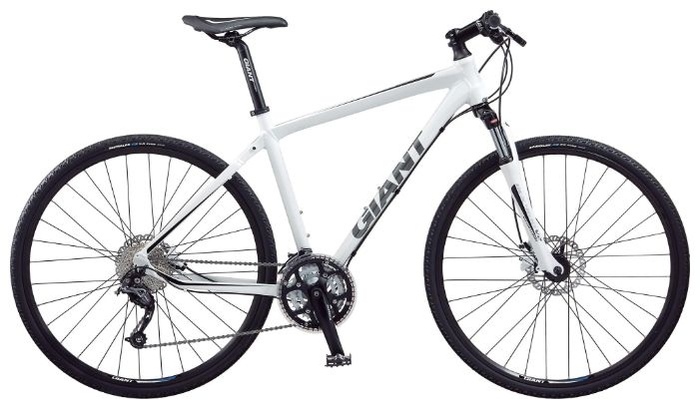 Велосипед Giant Roam XR 2 (2010)