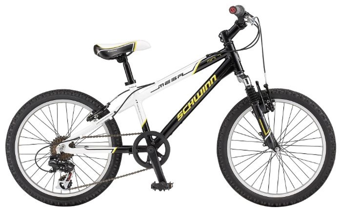 Schwinn Mini Mesa 20 2010