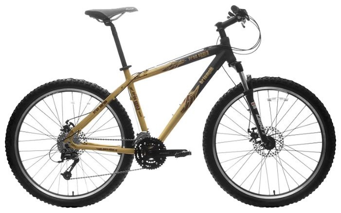 Велосипед Triumph Free Space Proff 2606 (2009)