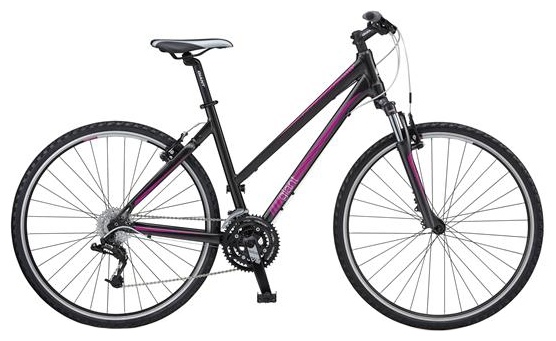 Велосипед Giant Roam 2 W (2012)