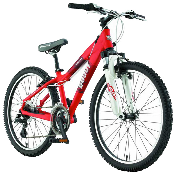 Велосипед WHEELER Buddy 03 24 (2007)