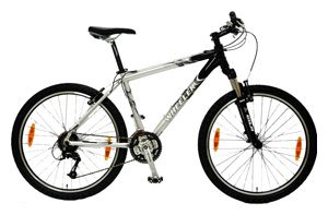 Велосипед WHEELER Pro 2900 ZX (2007)