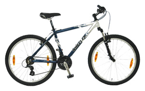 Велосипед WHEELER Pro 600 ZX (2007)